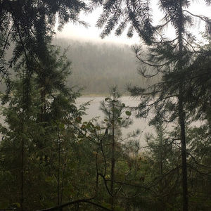 Meet your Posher, Shane